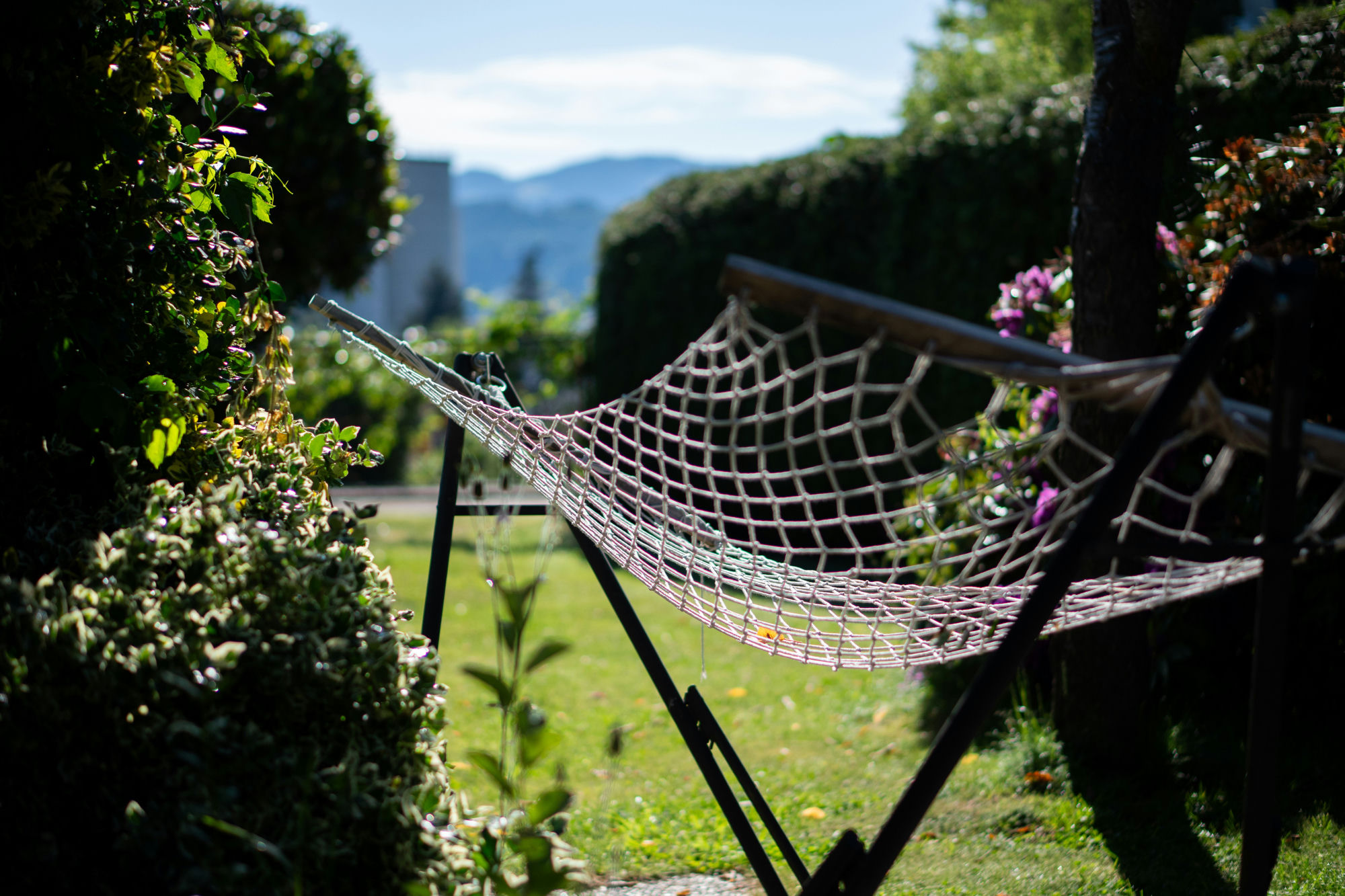 Hamac în grădină însorită — relaxare în vacanță